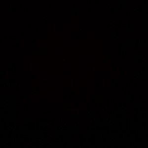 Meet your Posher, Benjamin